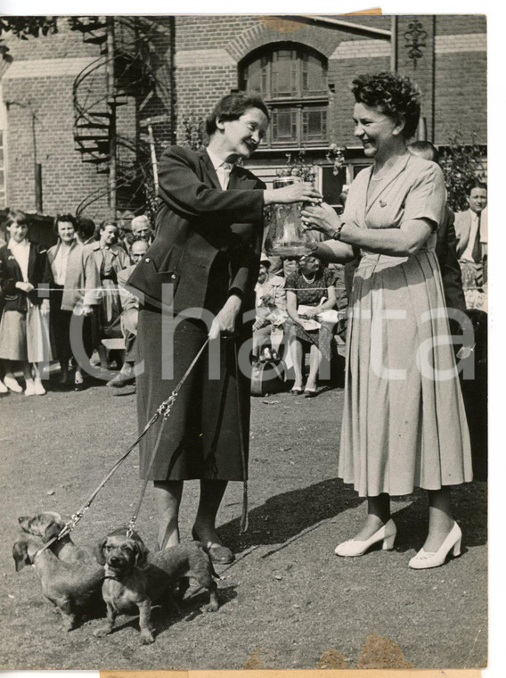 1953 BONN Canine Show - Tamara STRAUSS giving a prize to Irmingard BUTZ *Foto