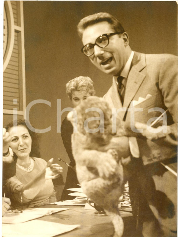 1959 LASCIA O RADDOPPIA? Mike BONGIORNO morso da un cucciolo di leone - Foto