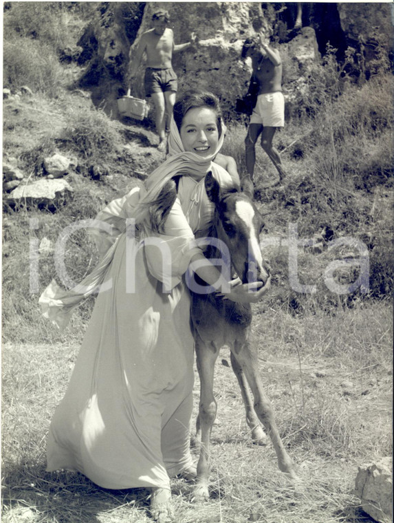 1960 ISRAEL Film "The Story of David" - Barbara SHELLEY as Abigail *Photo 15x20