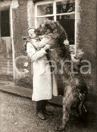 Sheelagh 1964 IRELAND Sheelagh SEALE kissed by her giant