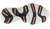 Explorer Blitz Leisure Lace Explorer Blitz Leisure Lace