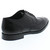 Jay Grand Wingtip Oxford Jay Grand Wingtip Oxford