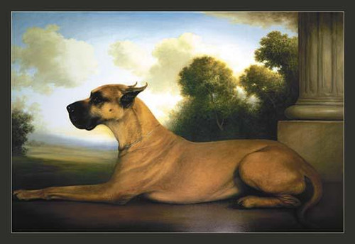 Recumbent Great Dane