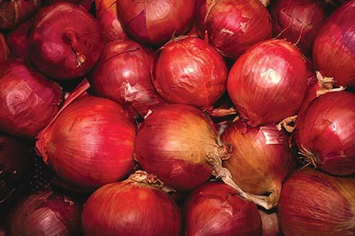 Red Onions