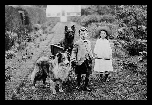 Boy and Girls with Two Dogs and a Wagon