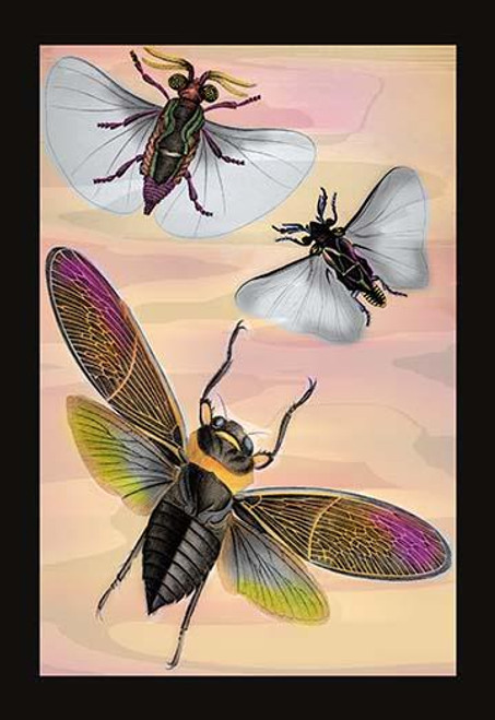Three Insects in Flight