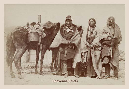 Cheyenne Chiefs