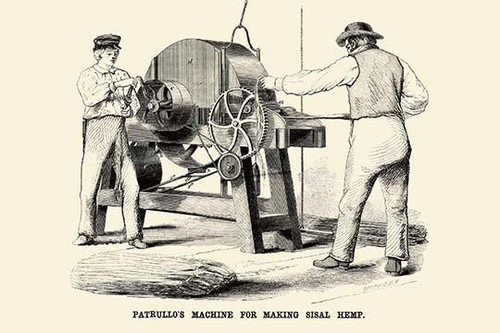 Patrullo's Machine for Making Sisal Hemp