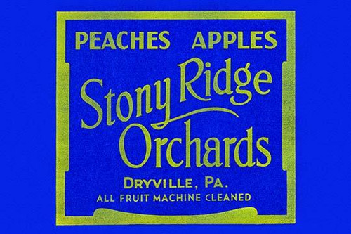 Stony Ridge Orchards Peaches & Apples