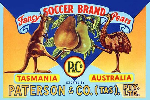 Fancy Soccer Brand Pears