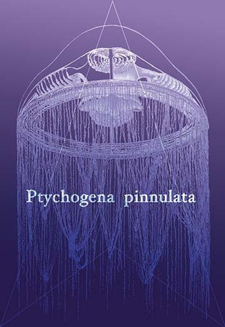 Jellyfish: Ptychogena Pinnulata