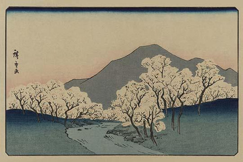 A Grove of Cherry Trees (Sakura namiki zu)