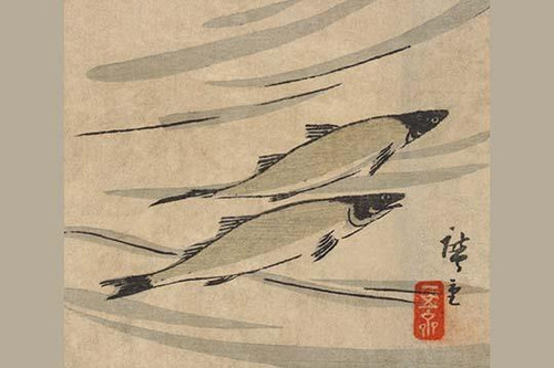 River Trout (Ayu zu)