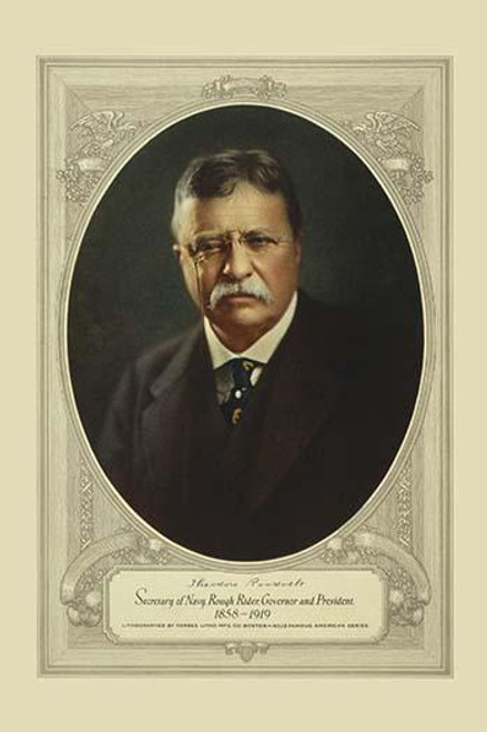 Theodore Roosevelt, Secretary of Navy, Rough Rider, governor and president