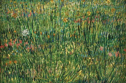 Patch of grass by Van Gogh