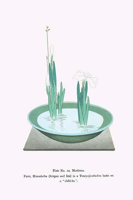 Futoi & Hanashobu (Scirpus & Iris) in a Tenryuji-celadon basin