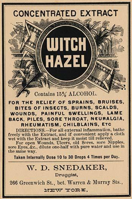 Witch Hazel