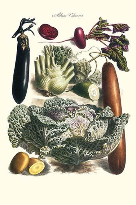 Vegetables; Cucumber, cabbage, eggplant, potato, and beet