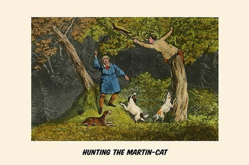 Hunting the Martin Cat