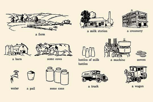 Milk Glossary