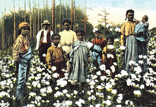 Portrait of Cotton Field Workers