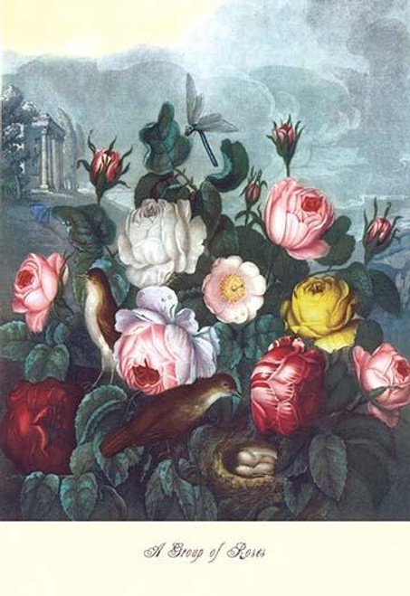 Roses - Temple of Flora