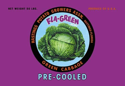 Fla-Green Green Cabbage