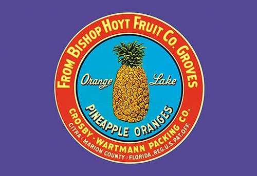 Orange Lake Brand Pineapples