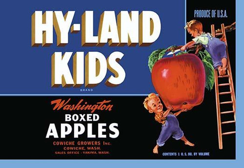 Hy-Land Kids Brand Apples