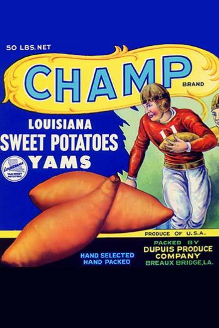 Champ Louisiana Sweet Potatoes