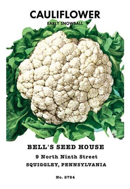 Cauliflower: Early Snowball