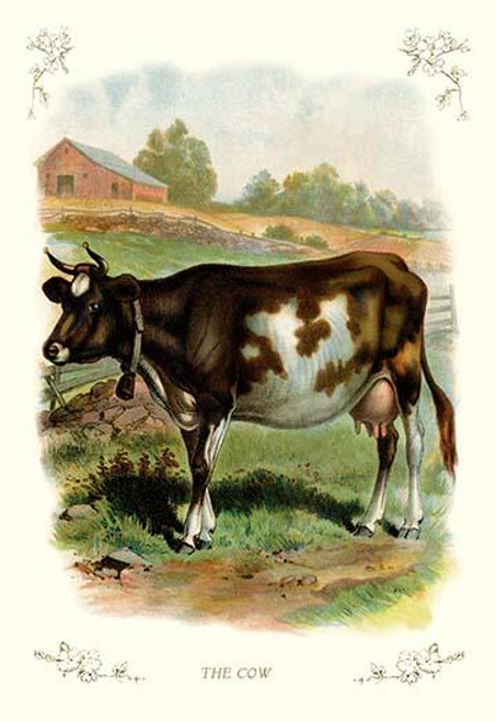 The Cow