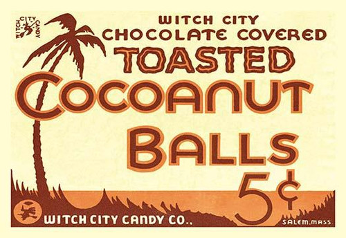 Toasted Cocoanut Balls #2