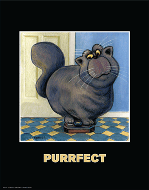 Purrfect Poster