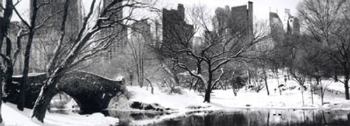 Love Bridge in Central Park, Winter Panorama Poster