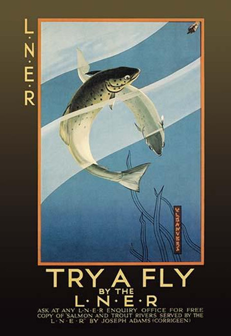 Try a Fly