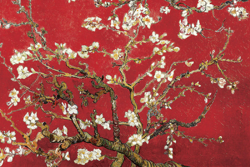Almond Blossom in Red1 Poster