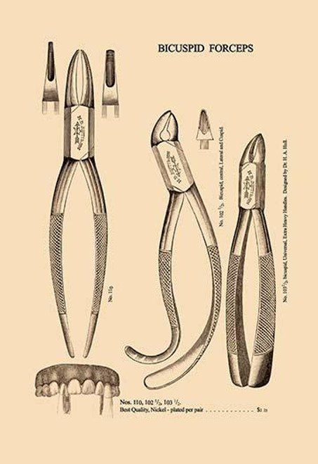 Bicuspid Forceps