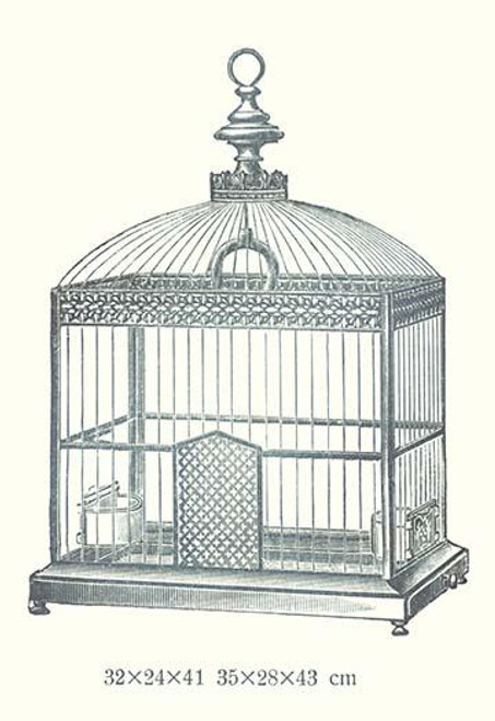 Ornate Black Bird Cage C