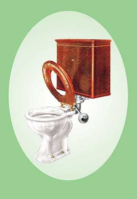 Toilet with Wooden Back