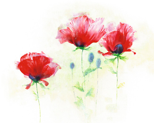 Red Poppies II-1 Poster