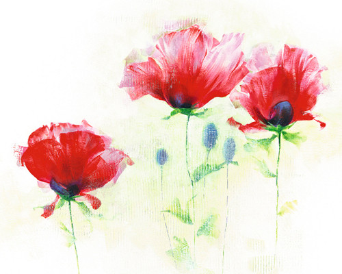 Red Poppies II Poster