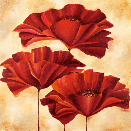 Three Poppies II Poster