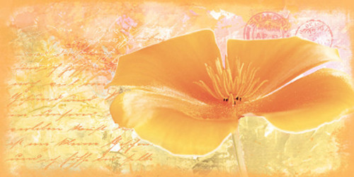 Yellow Flower1 Poster