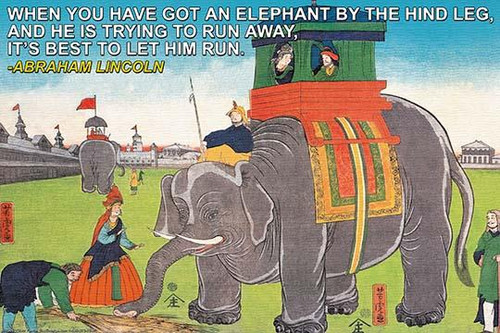 When you have got an elephant