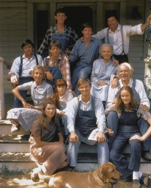 Waltons -y1