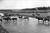 Horses crossing the river at Round-up Camp