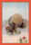 The Sisyphus