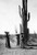 Saguaro Gatherers