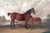 Flora Temple and her colt